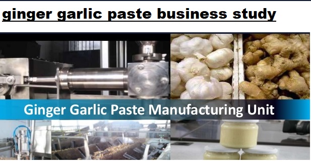 ginger garlic paste manufacturing