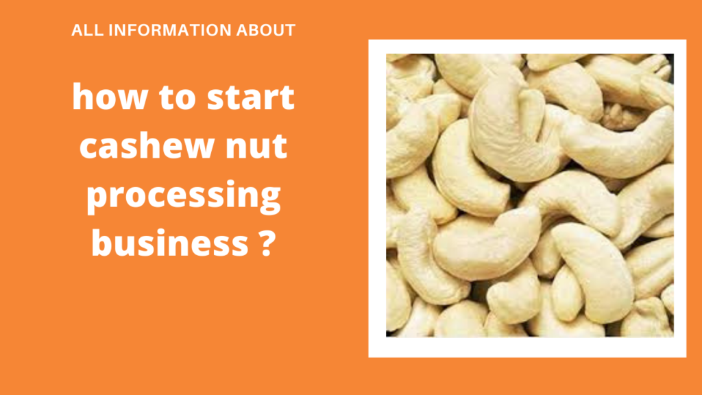 cashew nut processing
